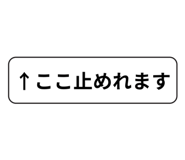 843092155