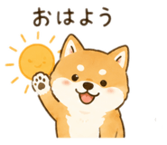 843092313