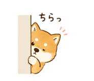 843092318