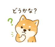 843092320