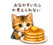 843092854