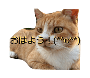 843093001