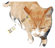 843093004