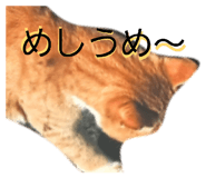 843093005