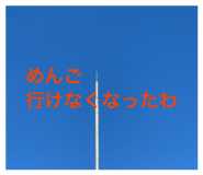 843093116