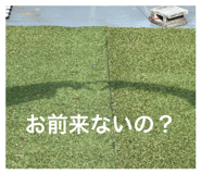843093117