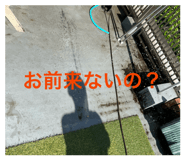 843093120