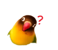 843093274
