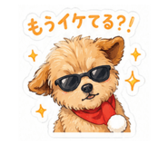 843093504