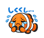 843093556