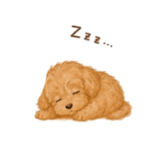 843093909