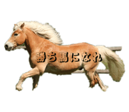 843102852