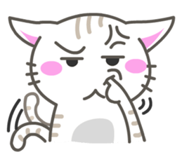 8431029