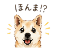 843103582