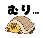843103622