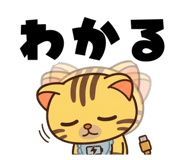 843103641