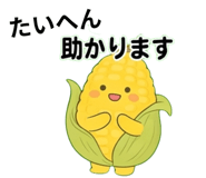 843103987