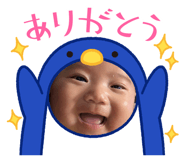 843104612