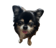 843104793