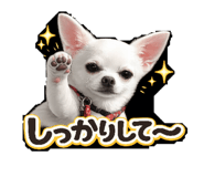 843104910