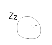 843105072