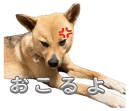 843105535
