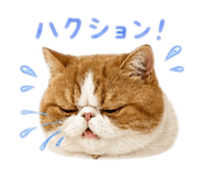 843105723