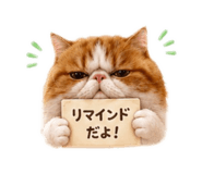 843105728