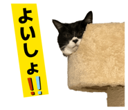 843106225