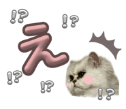 843106299