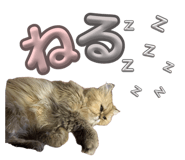 843106302