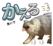 843106313