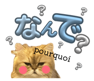 843106322