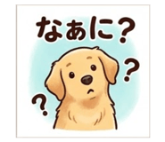 843106534