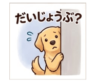 843106538
