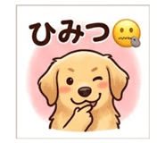 843106539