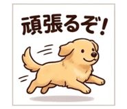 843106541