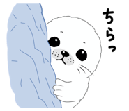 843106590
