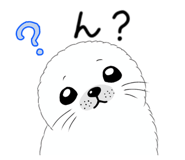 843106592