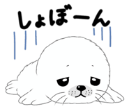 843106594