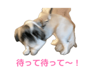 843107272