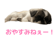 843107288
