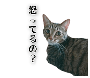 843107509