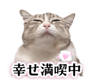843107514