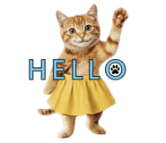843107665