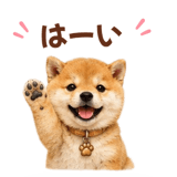 843107925