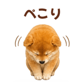 843107931