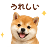 843107932