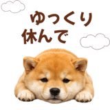 843107939