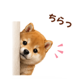 843107940